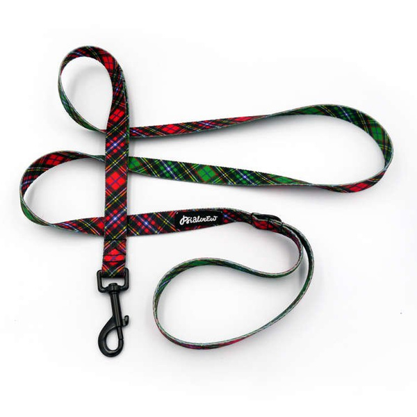 Smycz miejska dla małego Psa Tartan, szerokość 2 cm, czarny karabińczyk 7cm