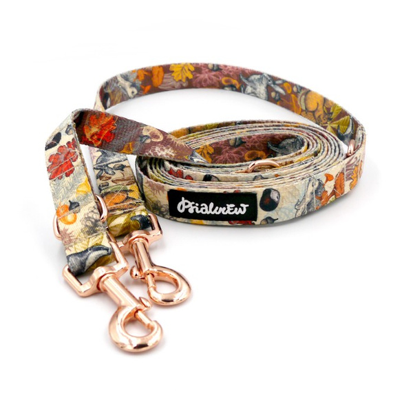 Hundeleine Forest Treasures Psiakrew Breite 2 cm, Roségold Karabinerhaken 6 cm