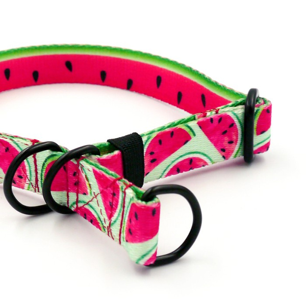 Half-choke collar Watermelon, 2 cm wide, for small dogs, black extras