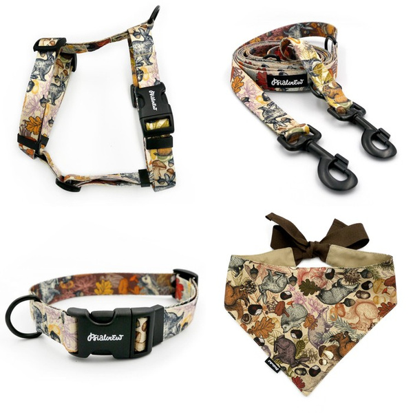 ACCESSORY KIT. Big dog. Forest Treasures Psiakrew Series; Collar, Harness, Leash, Bandana