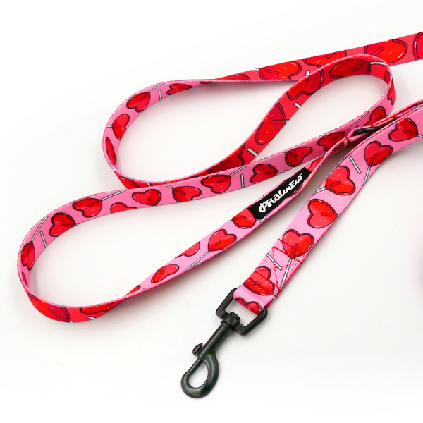 Laufleine für Hund Lollipops Psiakrew, Breite 2 cm, schwarzer Karabinerhaken 6 cm