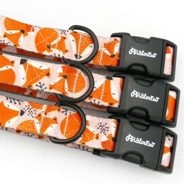 Verstellbares Halsband Foxy Lady Psiakrew, 2,5 cm breit, schwarze Beschläge