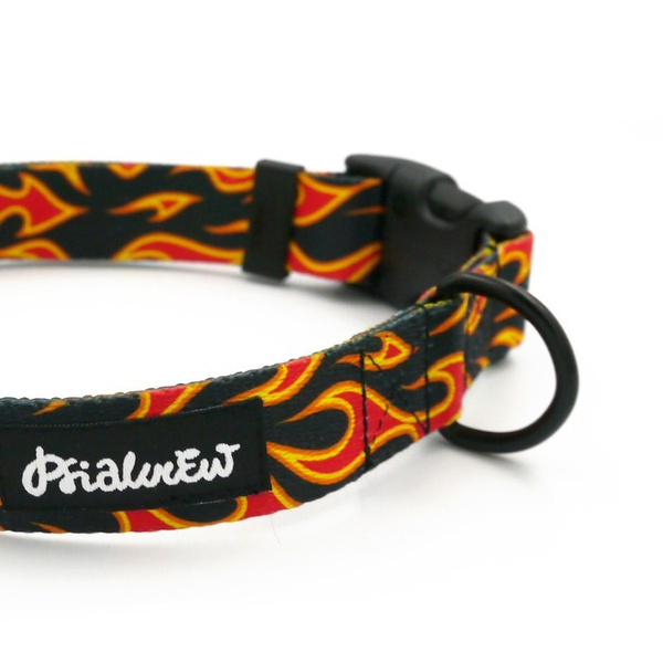 Verstellbares Halsband Dog On Fire Psiakrew, 2,5 cm breit, schwarze Beschläge
