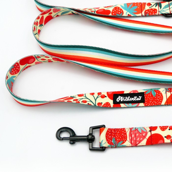 Hundeleine Fruit Jelly Psiakrew, Breite 2,5 cm, Karabiner 6 cm schwarz