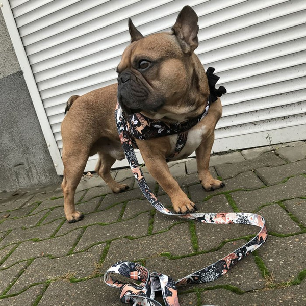 Premium Dog Bandana Deer Calls, handkerchief style to tie around your pet’s neck