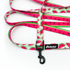 Long Dog Leash Watermelon Psiakrew width 2 cm (0.78"), black snap hook 6 cm
