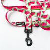 Dog Leash Watermelon width 2.5 cm, 1" wide, big black snap hook