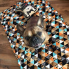 Premium Mat Plaid Blanket for the dog, Wild Animals Psiakrew Design