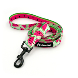 Laufleine für Hund Watermelon Psiakrew, Breite 2 cm, schwarzer Karabinerhaken 6 cm