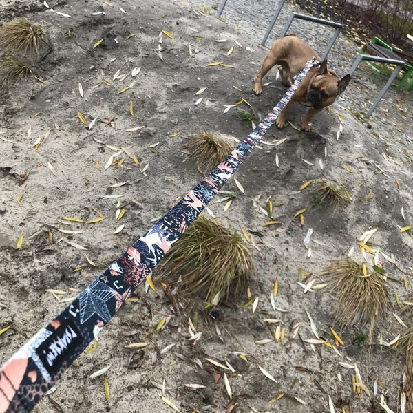 Dog Leash Deer Calls width 2.5 cm, 1" wide, pink gold, big snap hook 8 cm