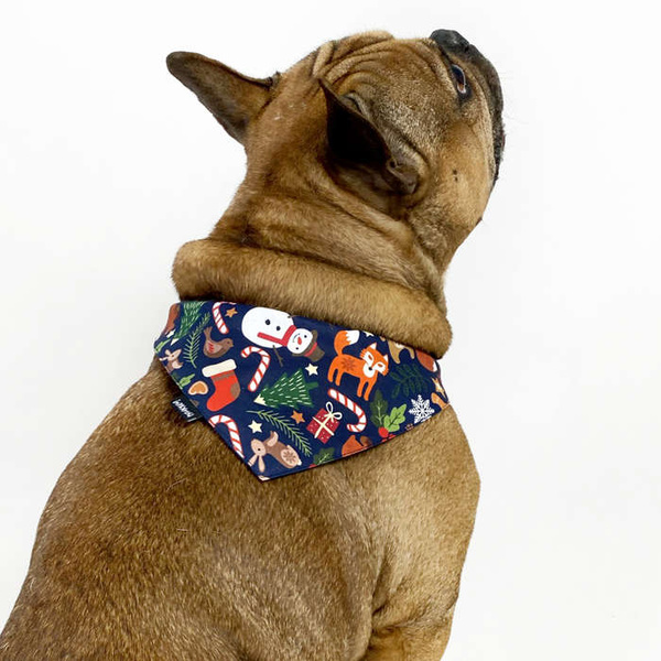 Premium Dog Bandana Winter is coming handkerchief style to tie around your pet’s neck