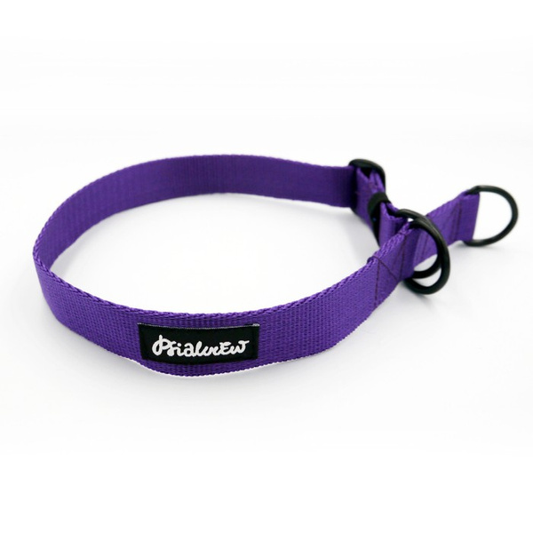 Half-choke collar Crazy Leopard, 2.5 cm wide, medium and big dogs, black extras