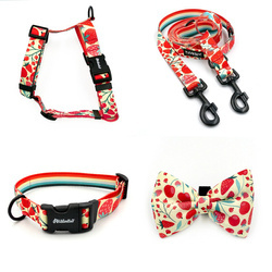 ACCESSORY KIT. Big dog. Fruit Jelly Psiakrew Series; Collar, Harness, Leash, Bow tie