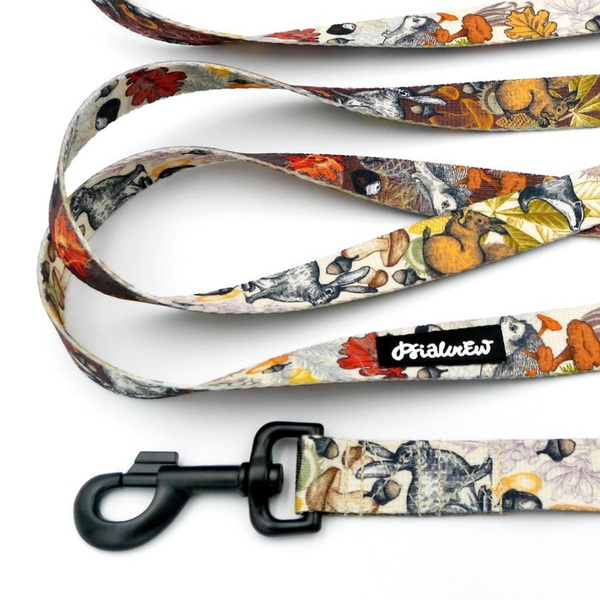 Dog Leash Forest Treasures Psiakrew width 2.5 cm, 1" wide, snap hook black 8cm