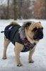 Dog Harness, Always Feeling Cool, Super Soft Psiakrew Winter is coming