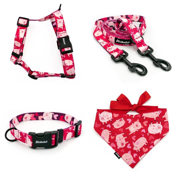 ZUBEHÖRSATZ. Großer Hund. Piggy in Love Psiakrew - Serie; Halsband, Geschirr, Leine, Bandana