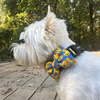 Dog Bow Tie Ducky Duck, Pet Bow Tie, Bowtie, Collar Attachment
