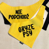 Bandana z imieniem Psa Psiakrew, personalizowana wiązana chusteczka, zółta apaszka