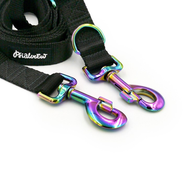 Lange Schwarze Hundeleine, wendbar, 2,5 cm, Holo-Beschläge, 8 cm, Psiakrew