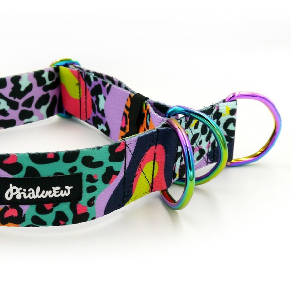 Obroża półzaciskowa Crazy Leopard Psiakrew 4 cm, dla dużych psów, holo okucia
