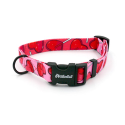 Dog Collar Lollipops Psiakrew, 2 cm 0.78"  wide, for smaller dogs