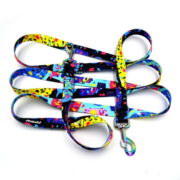 Dog Leash- Terrazzo width 2.5 cm, 1" wide, holo snap hook 8cm, Psiakrew