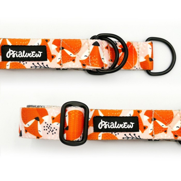 Half-choke collar Foxy Lady, 3 cm wide, medium and big dogs, black extras