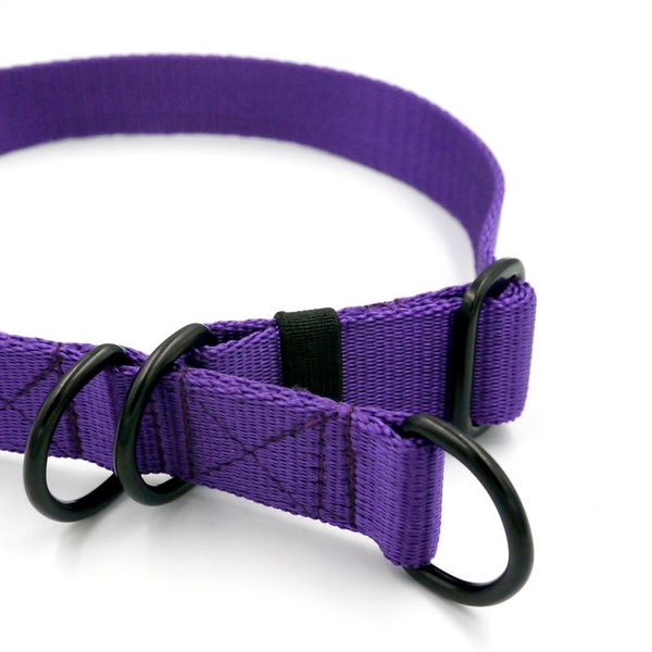 Half-choke collar Crazy Leopard, 2.5 cm wide, medium and big dogs, black extras