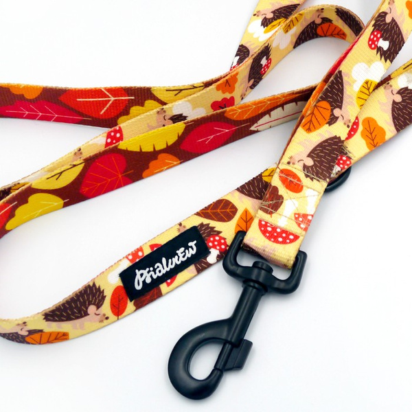 Dog Leash Hedgehog Dreamer width 2.5 cm, 1"  wide, big black snap hook 8 cm