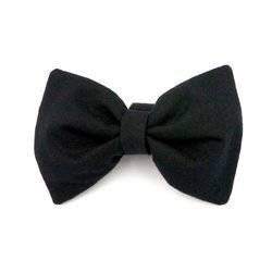 Dog Bow Tie Agent