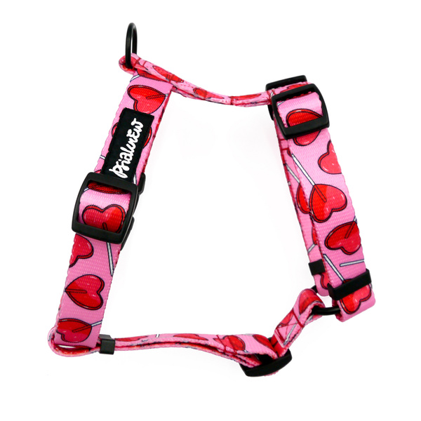 Harness for Dog, Lollipops Psiakrew Guard Harness Small Harness for small dogs, puppies, black extras