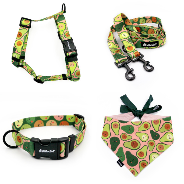 ACCESSORY KIT. Medium dog. Psiakrew Guacamole Time Series; Collar, Harness, Leash, Bandana