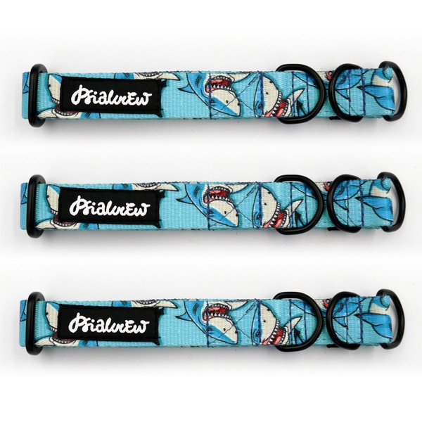 Obroża półzaciskowa Shark szeroka na 2 cm, dla małych psów, czarne dodatki