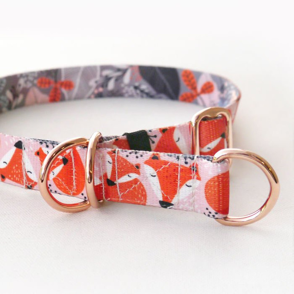 Half-choke collar Foxy Lady, 2.5 cm wide, medium and big dogs, rose gold