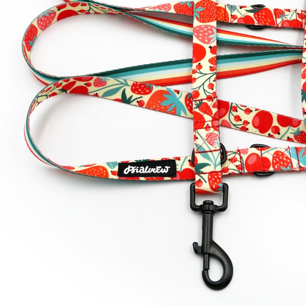 Long Dog Leash Fruit Jelly Psiakrew width 2 cm (0.78"), black snap hook 7 cm (3,15")