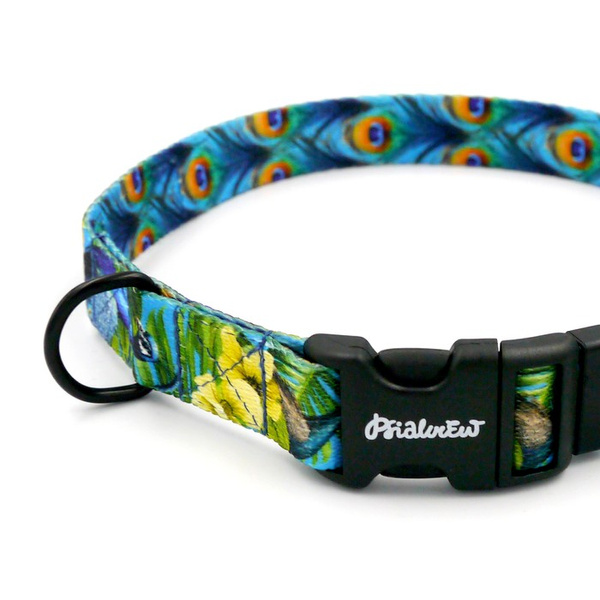 Dog Collar Peacock's Eye Psiakrew, 2 cm 0.78"  wide, for smaller dogs