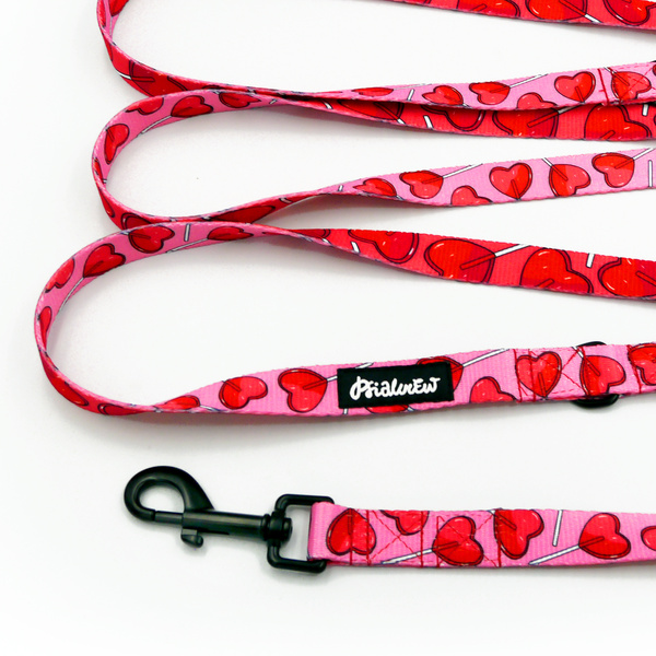Long Dog Leash Lollipops Psiakrew width 2 cm (0.78"), black snap hook 7 cm (3,15")