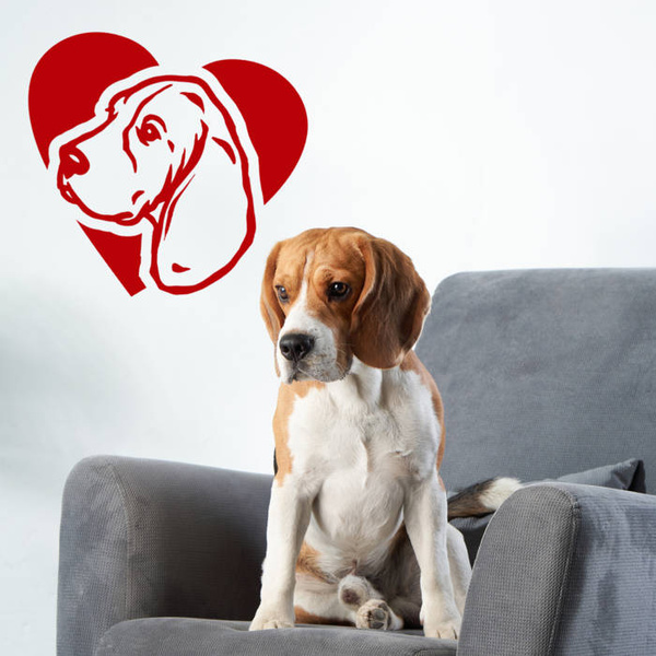 Naklejka na ścianę, auto Pies Beagle Love Psiakrew