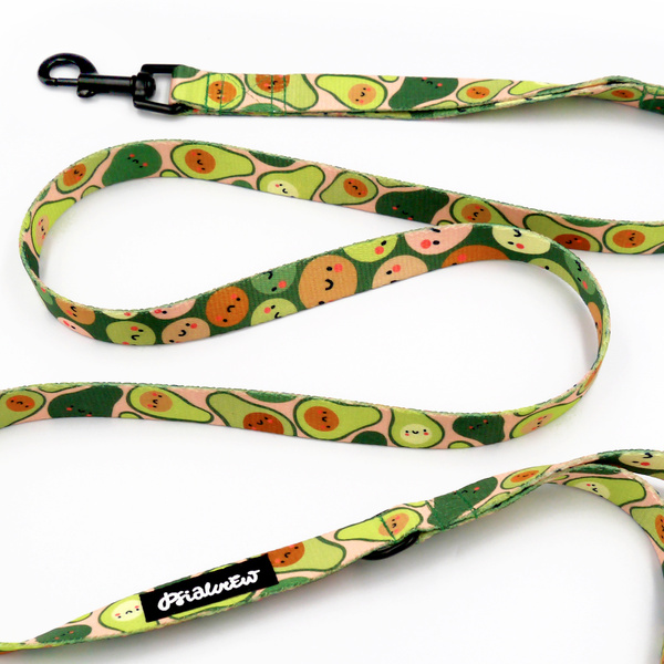 Laufleine für Hund Guacamole Time Psiakrew, Breite 2 cm, schwarzer Karabinerhaken 6 cm