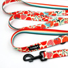 Dog Leash Fruit Jelly width 2.5 cm, 1" wide, black snap hook 8cm