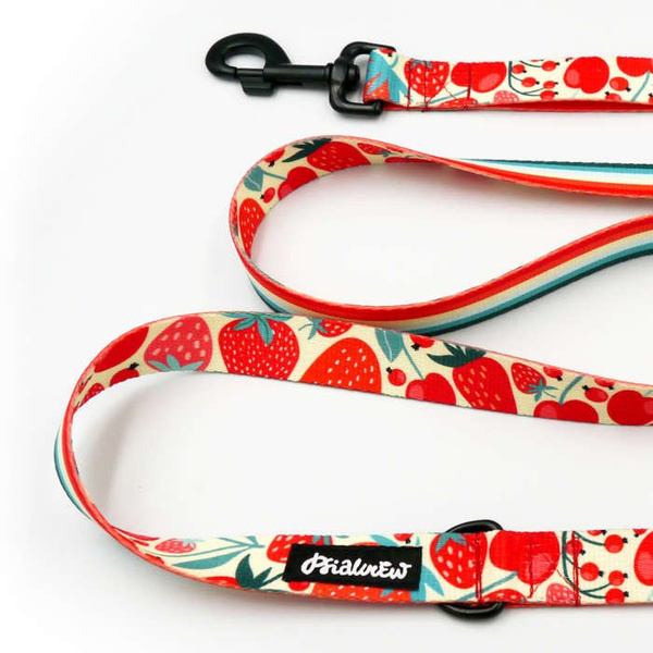 Dog Leash Fruit Jelly width 2.5 cm, 1" wide, snap hook glossy nickel 7cm