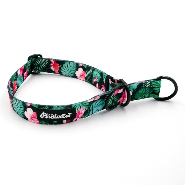 Half-choke collar Tropical Monstera, 2.5 cm wide, medium and big dogs, black extras