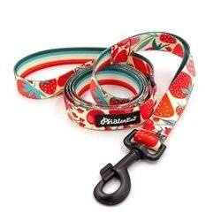 Dog Leash Fruit Jelly width 2.5 cm, 1"  wide, snap hook glossy nickel 7cm