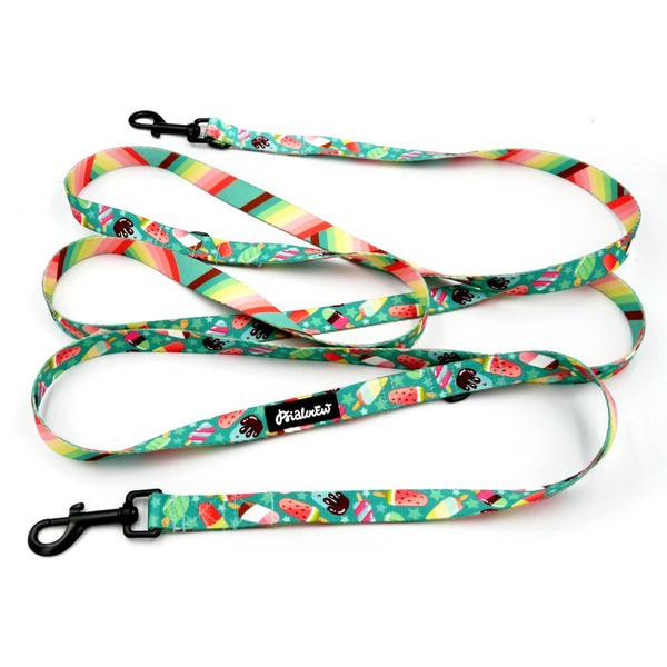 Hundeleine, lang, abnehmbar, verstellbar Ice Ice Baby Psiakrew, Breite 2 cm, Karabiner schwarz 7 cm