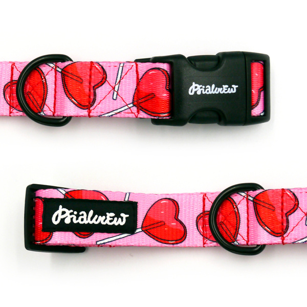 Verstellbares Halsband Lollipops Psiakrew, 2,5 cm breit, schwarze Beschläge