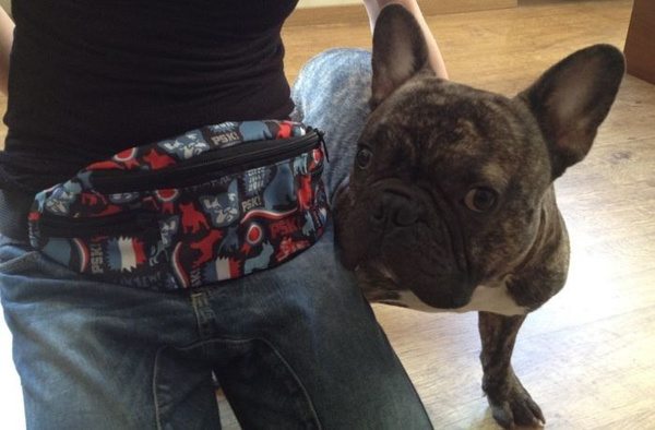 Hip Bag French Bulldog, Frenchie Dog Bum Bag Psiakrew