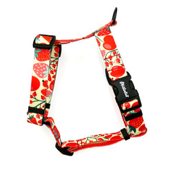 Harness for Dog Fruit Jelly Psiakrew Guard Harness, black extras