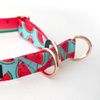 Half-choke collar Watermelon, 2.5 cm wide, medium and big dogs, rose gold