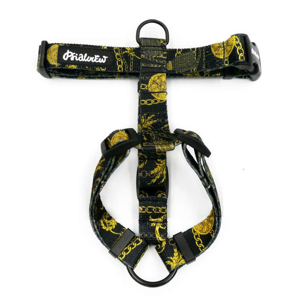 Małe Szelki dla Psa Guard, Donatella, dla mniejszych psów, taśma 2 cm, czarne okucia