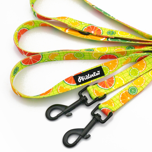 Hundeleine, lang, abnehmbar, verstellbar Lemonade Psiakrew, Breite 2 cm, Karabiner schwarz 7 cm